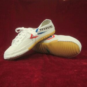 Feiyue wushu schoenen wit