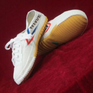 Feiyue wushu schoenen wit