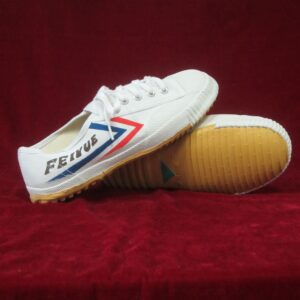 Feiyue wushu schoenen wit