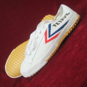 Feiyue wushu schoenen wit